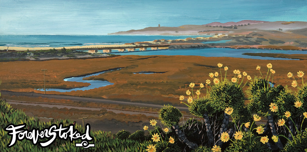 Coreopsis by Peter Pierce