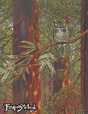 Owl in the Grove - 11x14